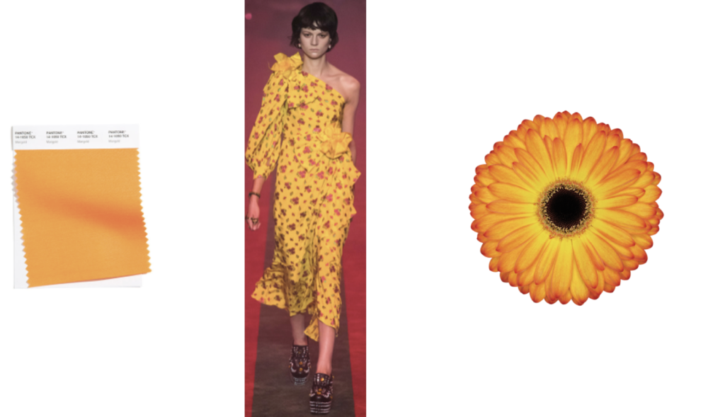 modekleuren 2021 - Ontdekjekleurenstijl.nl - Marigold