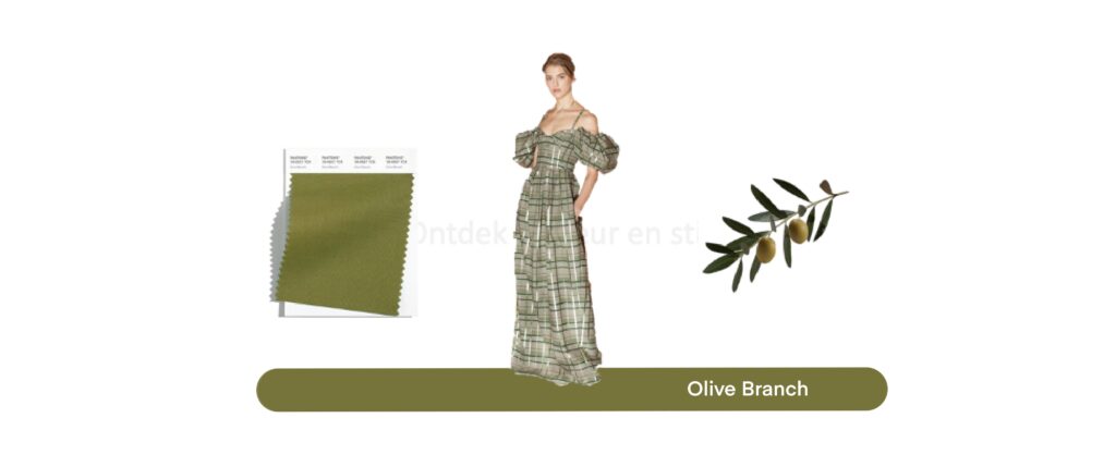 Olive Branch